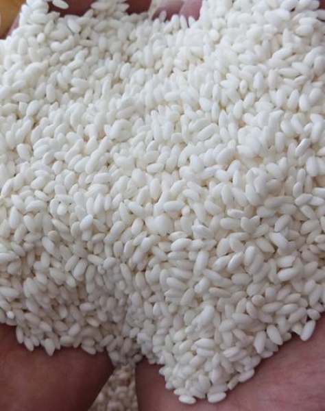 Bắc Cái Hoa Vàng 